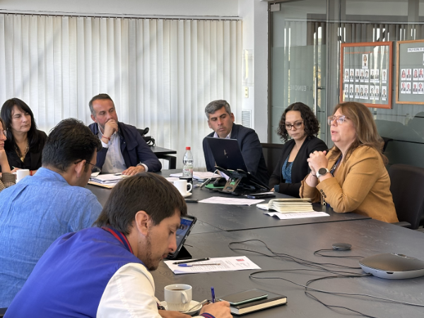 La Defensora Regional expuso durante cerca de dos horas ante la comisi&oacute;n del CORE. 