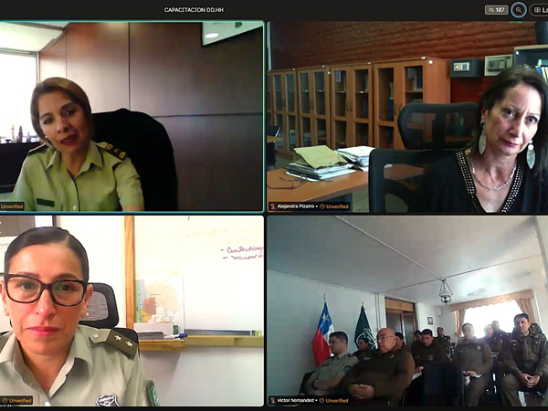 La Defensora Regional (s), Alejandra Pizarro (derecha, arriba) durante la capacitaci&oacute;n telem&aacute;tica.