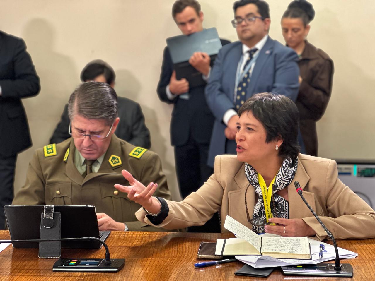 La Defensora Nacional, Ver&oacute;nica Encina Vera, durante su exposici&oacute;n en la comisi&oacute;n.